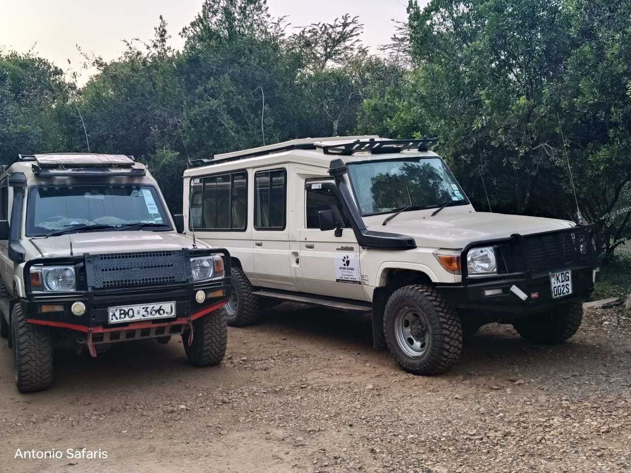 4x4 Jeeps