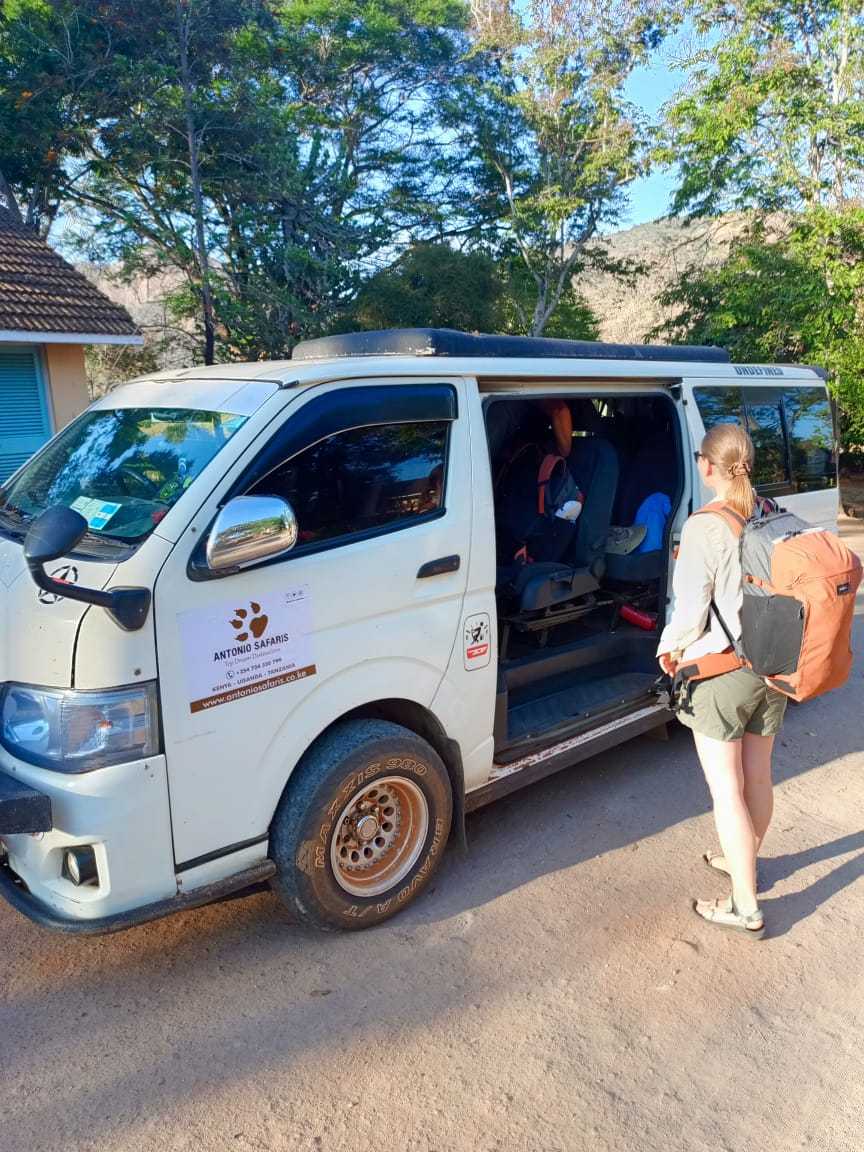 Safari Mini Van