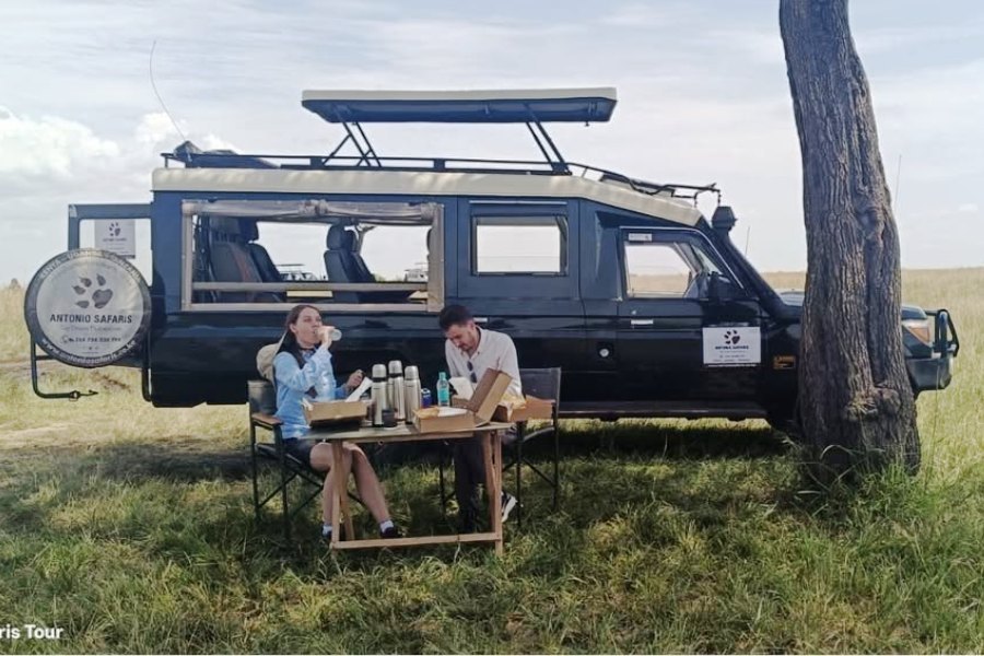 Open land cruiser